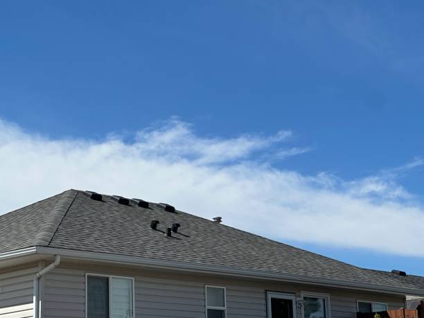 Best Flat Roofing  in Sundance, WY